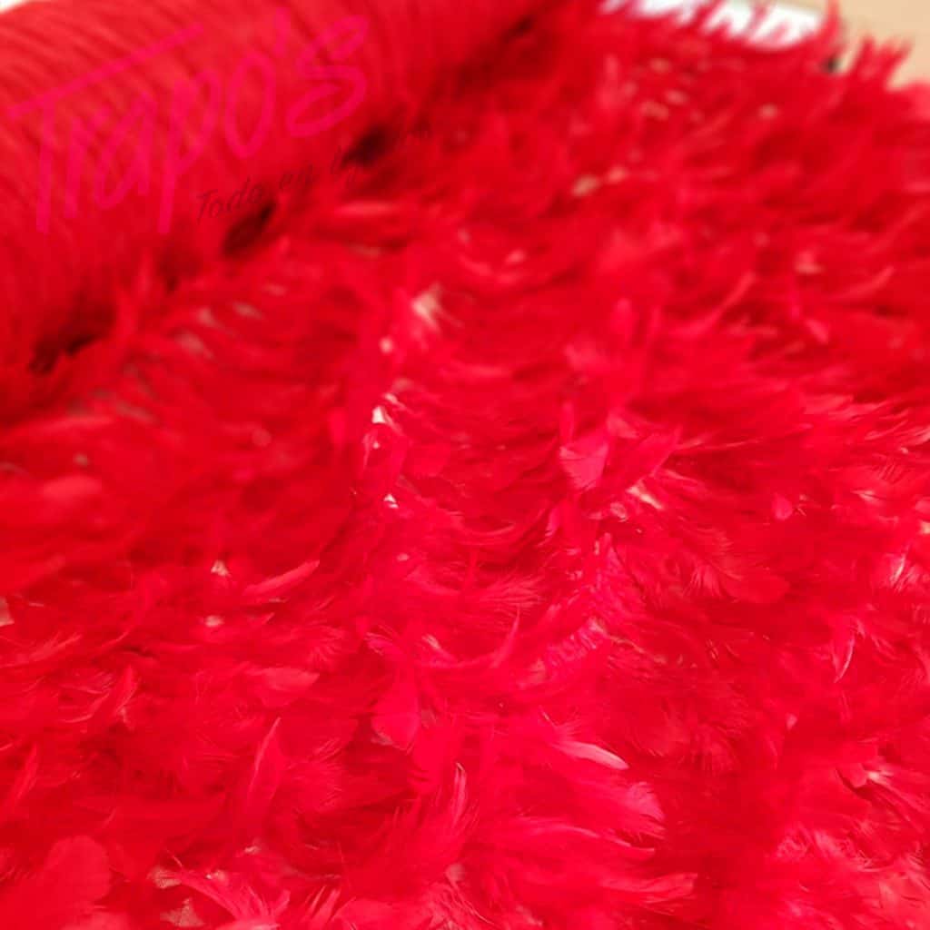 tela plumas rojasfb